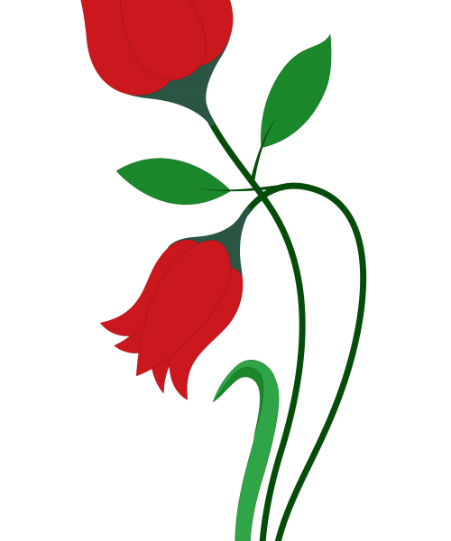 PNGPIX COM Rose Flower Vector PNG Transparent Image 500x823 1