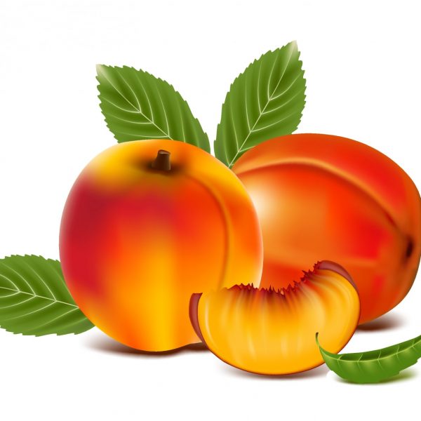 Peach Vector LimooGraphic min