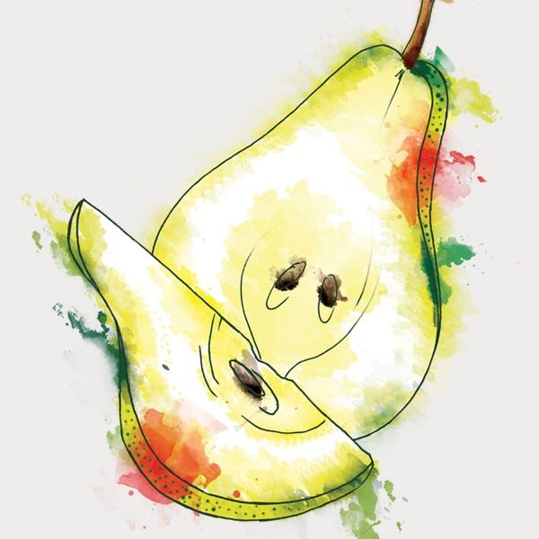 illustration aquarelle fruit 2