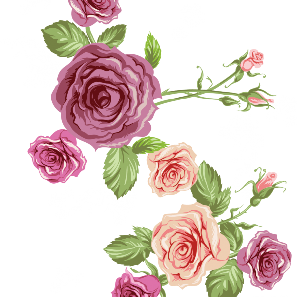 kisspng beach rose euclidean vector flower vector rose pink roses sea 5aa0debfc684a3.8041376615204922238131