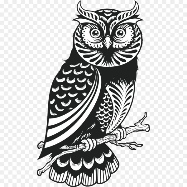 kisspng owl drawing royalty free owls 5acdf2a67919d0.5205171815234464384961
