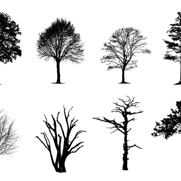 vector tree silhouettes pack